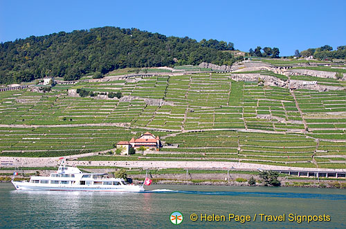 Lac Leman cruise to Montreux