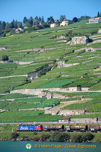 Lac Leman cruise to Montreux