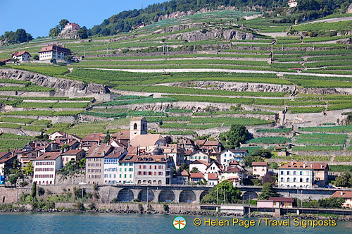 Lac Leman cruise to Montreux