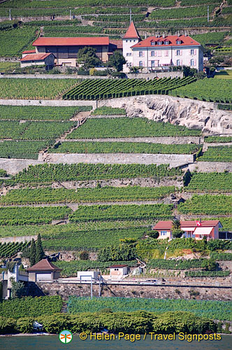 Lac Leman cruise to Montreux