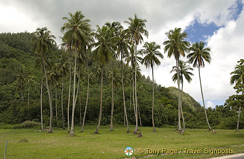 Most of these pix are in the district nearby to our beach hut
Moorea, Tahiti