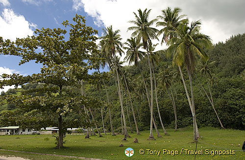 Moorea, Tahiti