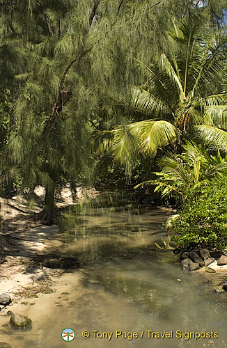 Moorea, Tahiti