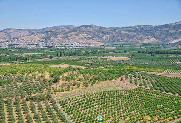 Agricultural land in Ephesus