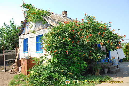 Kherson and Fisherman's Island