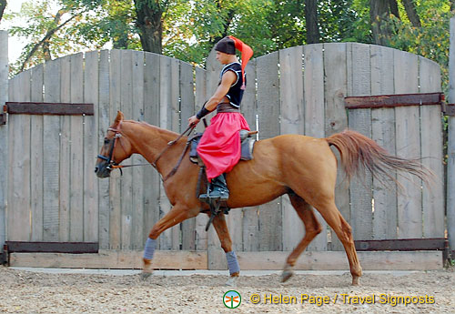 Cossack Horse Show