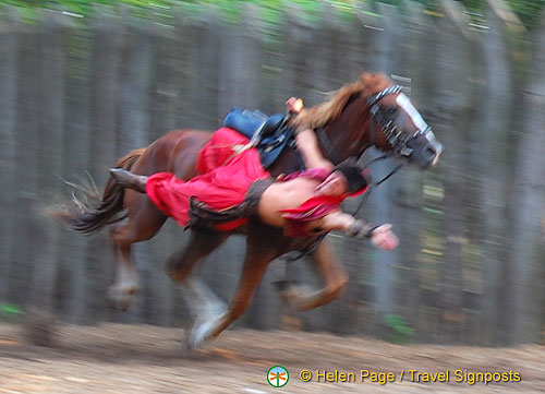 Cossack Horse Show