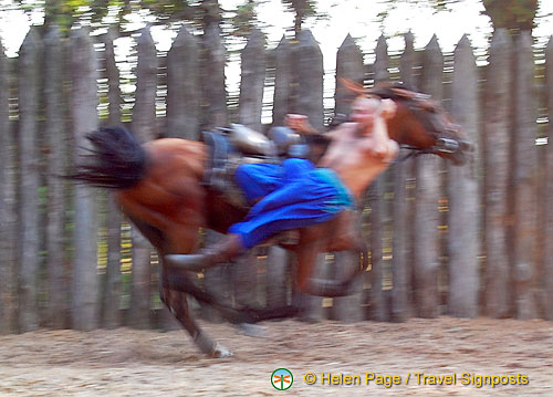 Cossack Horse Show