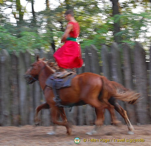 Cossack Horse Show