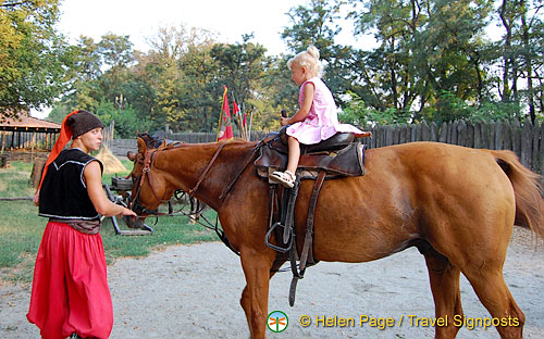 Cossack Horse Show