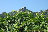 Wachau district is Austria's classic Riesling region 