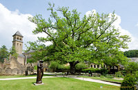 The peaceful Orval Abbey grounds