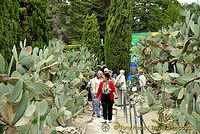 The Botanical Gardens and Queen Marie's Palace, Balchik, Bulgaria