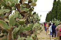 The Botanical Gardens and Queen Marie's Palace, Balchik, Bulgaria