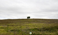 On the road in Bulgaria