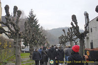 Rhine River Cruise in Winter