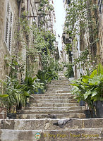 Beautiful side lane off the Stradun (Placa)