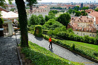 St. Wenceslas Vineyard 