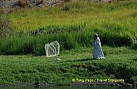 

[Aswan - Nile River -Egypt]