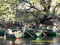 Life along the river.

[Aswan - Nile River -Egypt]