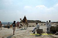 
[The Giza Plateau - The Great Pyramids - Egypt]