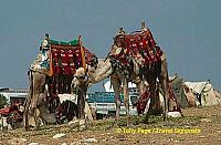 
[The Giza Plateau - The Great Pyramids - Egypt]