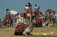 
[The Giza Plateau - The Great Pyramids - Egypt]