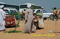 
[The Giza Plateau - The Great Pyramids - Egypt]