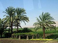 [Temple of Hatshepsut - Deir al-Bahri - Nile River Cruise - Egypt]