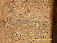 [Temple of Karnak - the Nile Valley - Egypt]