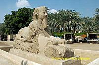 In the garden next to the museum stands this giant sphinx.
[Temple of Ptah - Mit Rahina village - Memphis - Egypt]