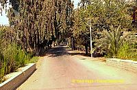 We now make our way to Saqqara.
[Temple of Ptah - Mit Rahina village - Memphis - Egypt]