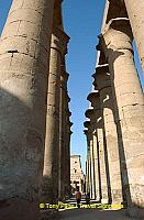 [Temple of Luxor - Egypt]