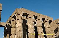 [Temple of Luxor - Egypt]