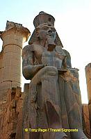 [Temple of Luxor - Egypt]