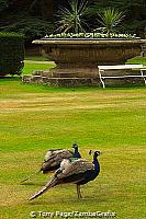 Castle Howard - Yorkshire - England