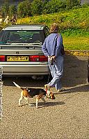 Large crowds come in August each year for the Grasmere sports 