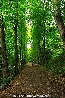 Beautiful walk along the river [Durham - England]