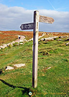 Coastal paths that visitors can walk