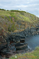 Lizard Point landscape