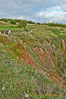 Lizard Point landscape