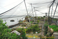 Living Coasts - an aquatic zoo on the harbourfront