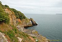 View of Torbay