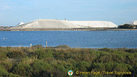 Aigues-Mortes, Camargue, France