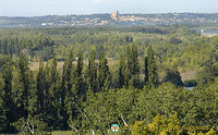 Avignon, Provence, France