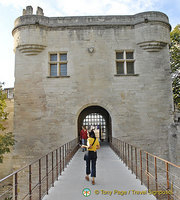 Me, on Pont St-Bénézet