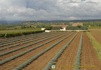 Cavaillon and Luberon, France