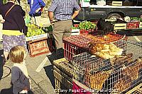 The village of Chateaubriant, and it's market day! 