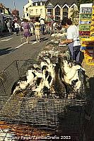 The village of Chateaubriant, and it's market day!