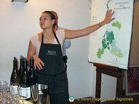 Wine-tasting, Chateauneuf du Pape, Provence, France